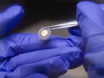 ЪWг䇽ٹ̑B늳صҪ} Ƅ̘Ilչ