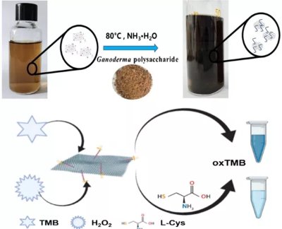 һ˽ʯīϩ{øʯīϩͺϲϵƂ