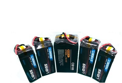 Դ̑B늳cҺB늳؃rƽ