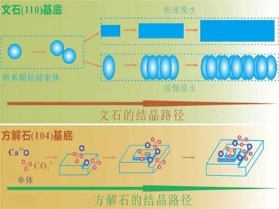 ʮ塱ԭϹIlչҎl̼}ӡǽٷwϰlչ@3Ng