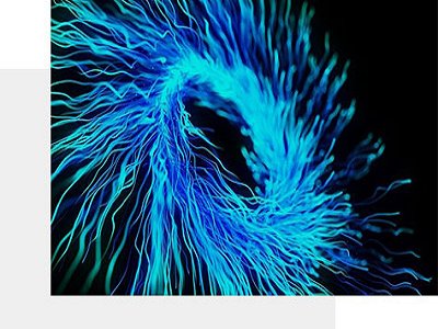 {̼}(sh)F(xin)䇡롪Q늳֦Lͽ渱(yng)ɴy}