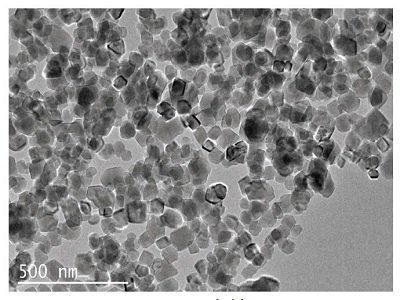 Iôx̼}塱wָ˺ͮaƷܵPϵ