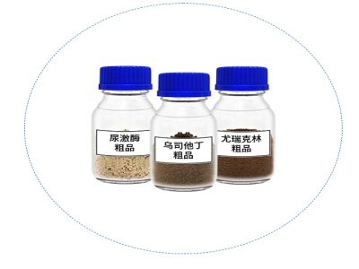 ϣˎIyϴˎI얹ԴIIȵλ