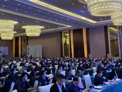 BƸAʯӢƷ޹˾cs2022ȫʯӢ