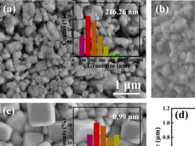 ϿƼWʹYoƂ䁆΢׼늃մ