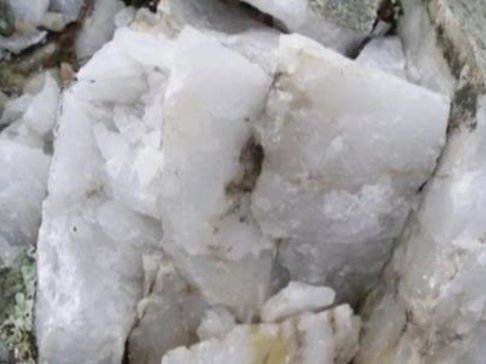 ɽ|𾧿ƼɷcsPꖣИI(y)ʯӢɰg(sh)cЈ