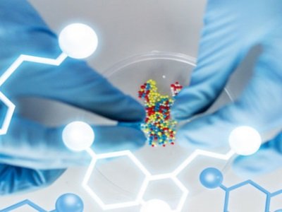 tˎcИI١񲩽ڼF_ɺȫaƷܾM̺ͺ̘IЧ