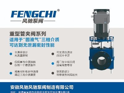 LYyTcs}ǣ2024ڶãȫ·ø߼ʯӢϮaIlչ