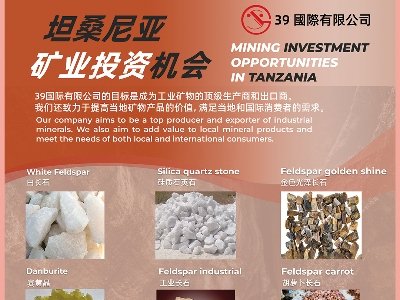 39Hcsݣ2024(ڰˌ)ȫʯӢչ[