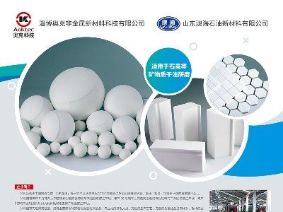 W˷ǽcs|2025ü·ø߼ʯӢϮaIlչ