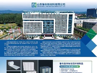 ɽ|²c11sݣ2025ھŌȫʯӢչ[