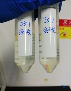 132334_835604_gsdt.jpg 測試2.jpg