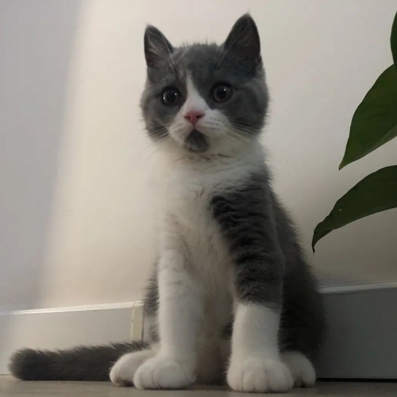 105945_202581_jswz.jpg 105945_202581_jswz.jpg