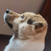 110008_631964_jswz.png 110008_631964_jswz.png