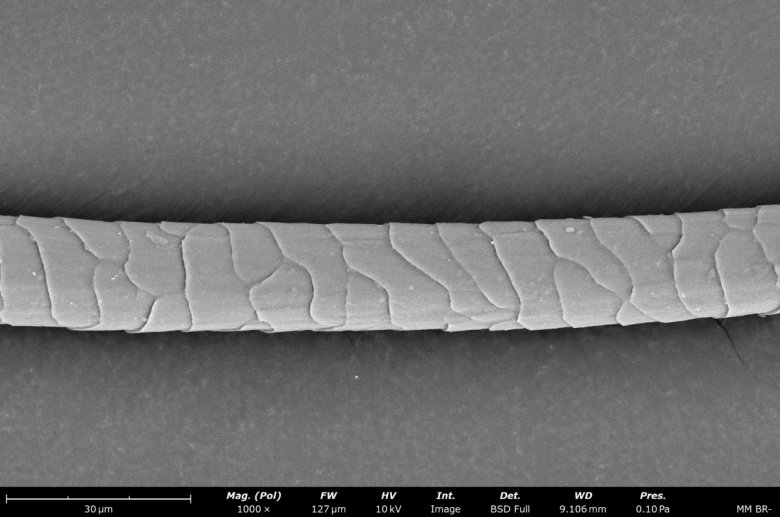 110123_249236_jswz.jpeg 110123_249236_jswz.jpeg