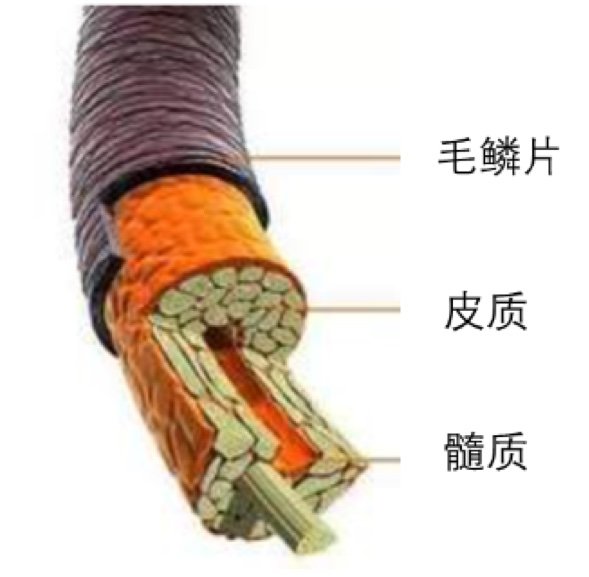 110424_127928_jswz.jpg 110424_127928_jswz.jpg