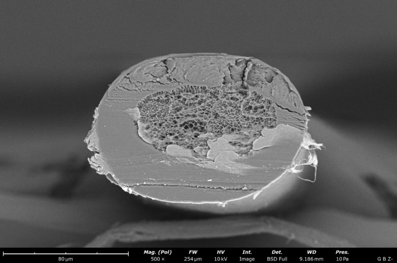 110601_103766_jswz.jpg 110601_103766_jswz.jpg