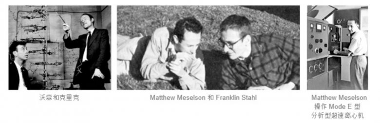 145011_572700_gsdt.png 145011_572700_gsdt.png