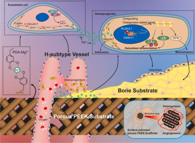 135154_571845_gsdt.png 4.png