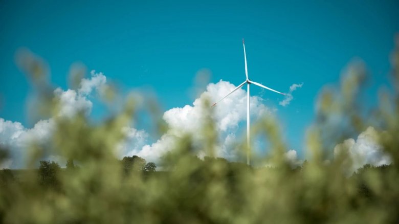 100211_282944_gsdt.jpg 5.jpg