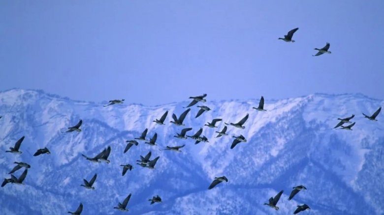 111959_347382_gsdt.jpg 9-1.jpg