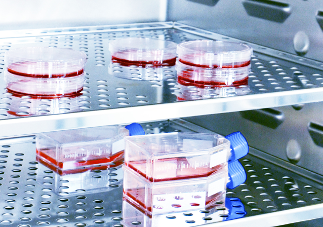 圖片2.png 圖片2.png