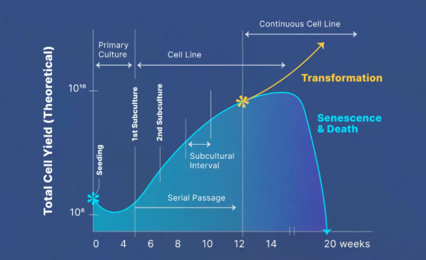 圖片6.png 圖片6.png