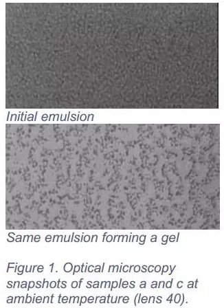 圖片1.png 圖片1.png