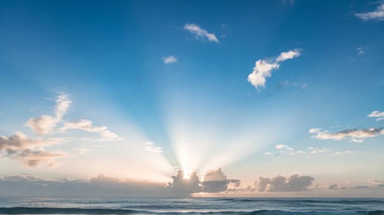 112821_166155_gsdt.jpg 8.jpg