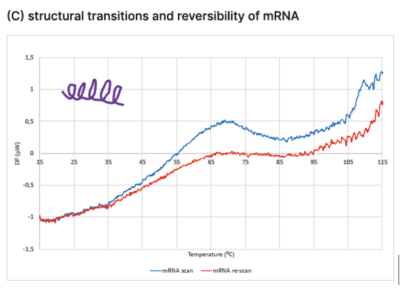 20220825-1183937332.png 20220825-1183937332.png