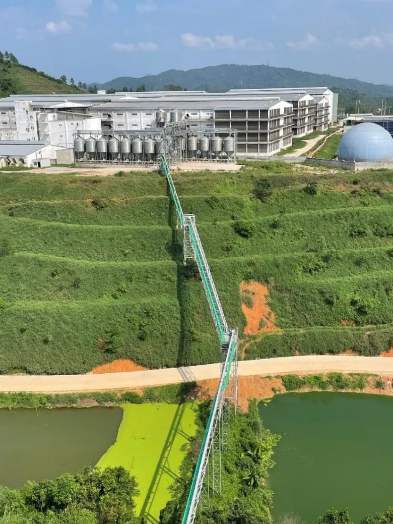 102947_602821_gsdt.jpg 102947_602821_gsdt.jpg