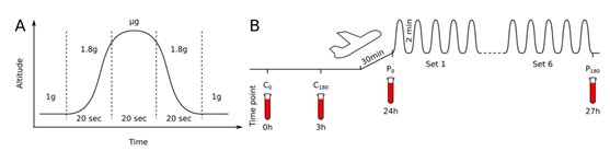 111831_042646_gsdt.png 3.png