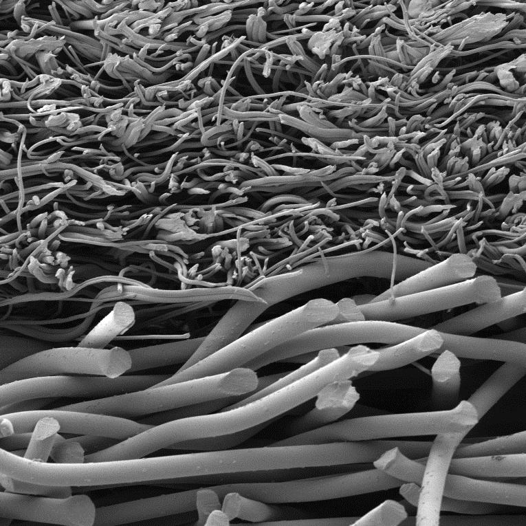 134849_593428_gsdt.png 5.png