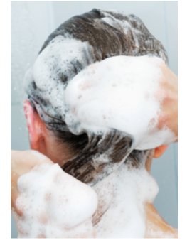 圖片1.png 圖片1.png