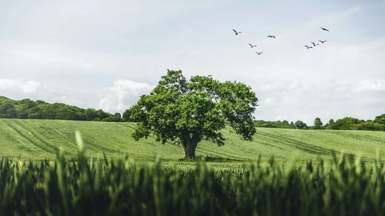 142735_142572_gsdt.jpg 6.jpg