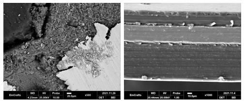 1654911285636374.jpg QQ截圖20220611093421.jpg