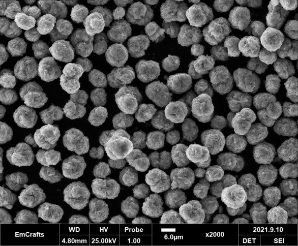 1645692607315547.jpg 1645692607315547.jpg