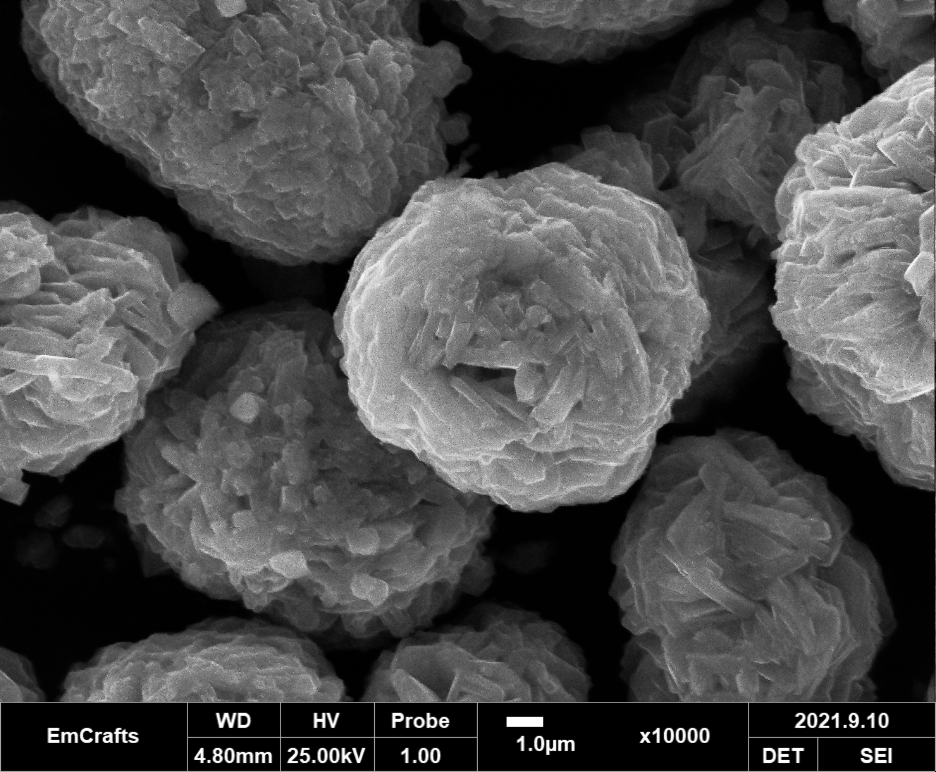 1645693617123832.jpg 1645693617123832.jpg