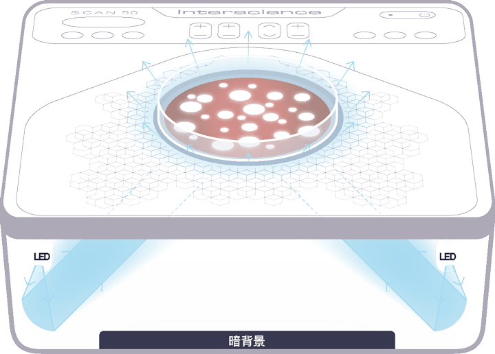 圖片3.png 圖片3.png