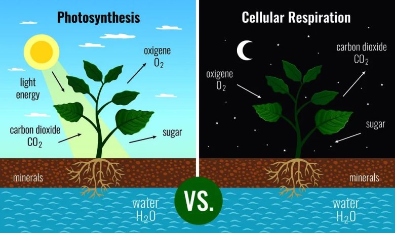 圖片1.png 圖片1.png