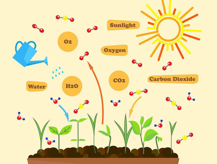 圖片3.png 圖片3.png