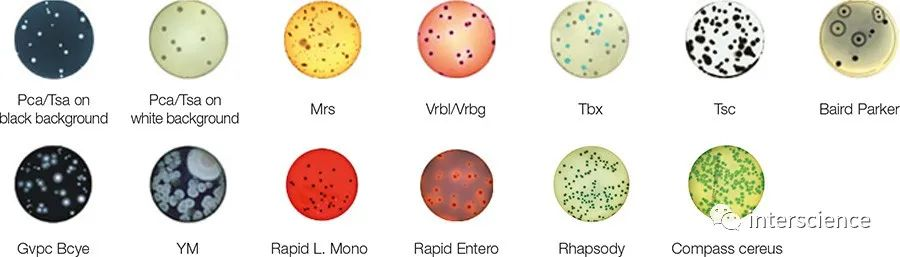 圖片13.png 圖片13.png