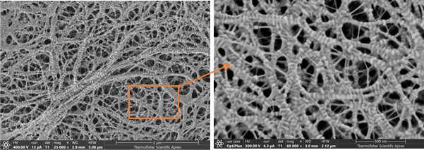 110453_062203_gsdt.png 2-6.png