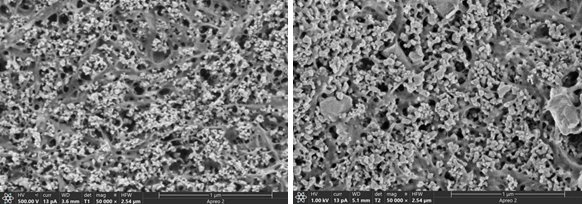 110744_939628_gsdt.png 2-13.png