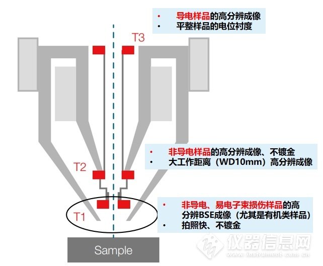 141357_357995_gsdt.jpg 2-23.jpg