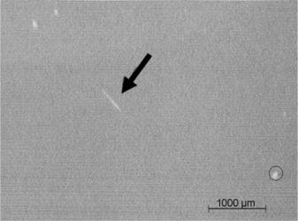 154912_362771_jswz.png 第4頁-3.PNG