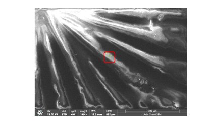 104506_919528_gsdt.png image.png