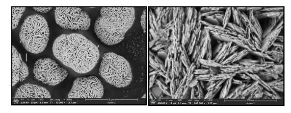 091849_857377_gsdt.png image.png