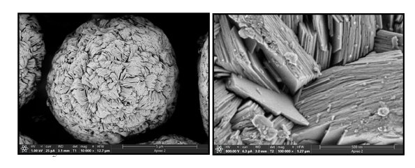 091905_704400_gsdt.png image.png