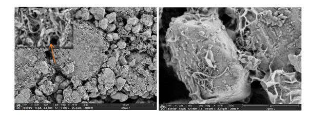 092003_652549_gsdt.png image.png